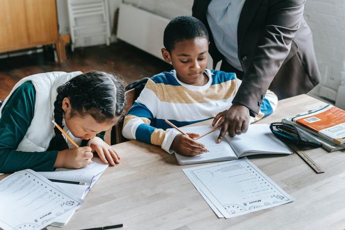 Special Schools vs. Focused Provision Schools in the UK for Individuals with Autism